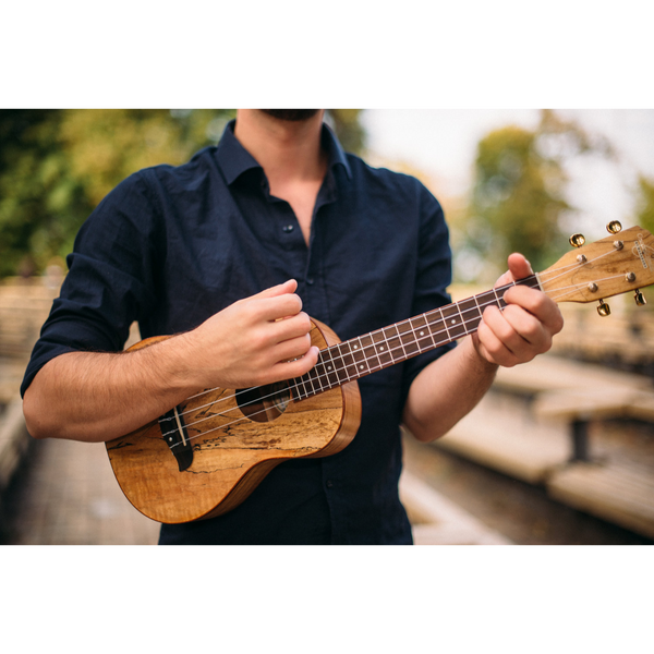 Oscar Schmidt OU8T Tenor Ukulele - Spalted Maple Finish